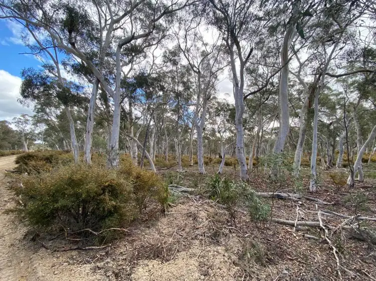 Fourth view of Homely rural property listing, 101 Spa Road, Windellama NSW 2580
