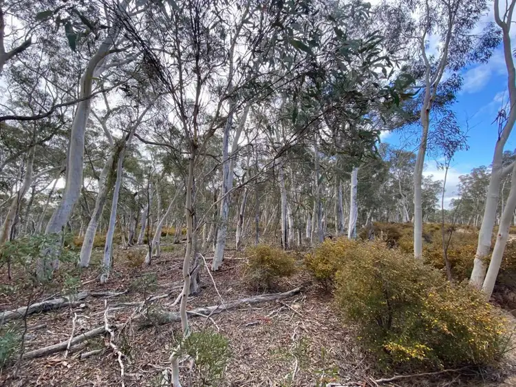 Fifth view of Homely rural property listing, 101 Spa Road, Windellama NSW 2580