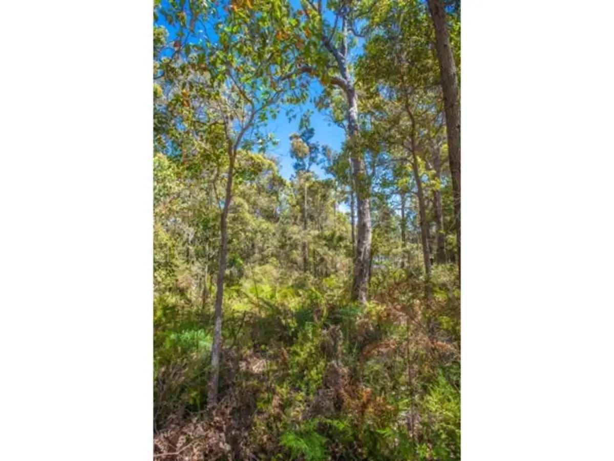 Main view of Homely land listing, Lot 14 Karri Lane, Quinninup WA 6258
