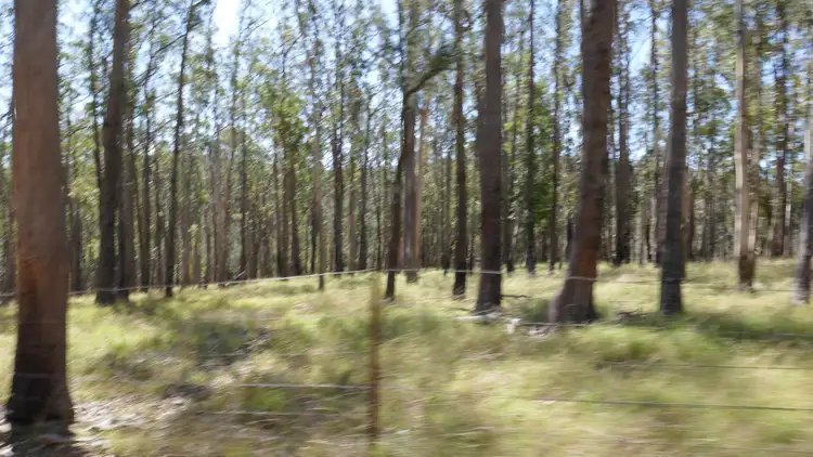 Sixth view of Homely rural property listing, Lot 1 Mud Flat Road, Drake NSW 2469