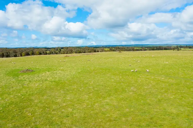 Second view of Homely rural property listing, 255 Ingleby Road, Winchelsea VIC 3241