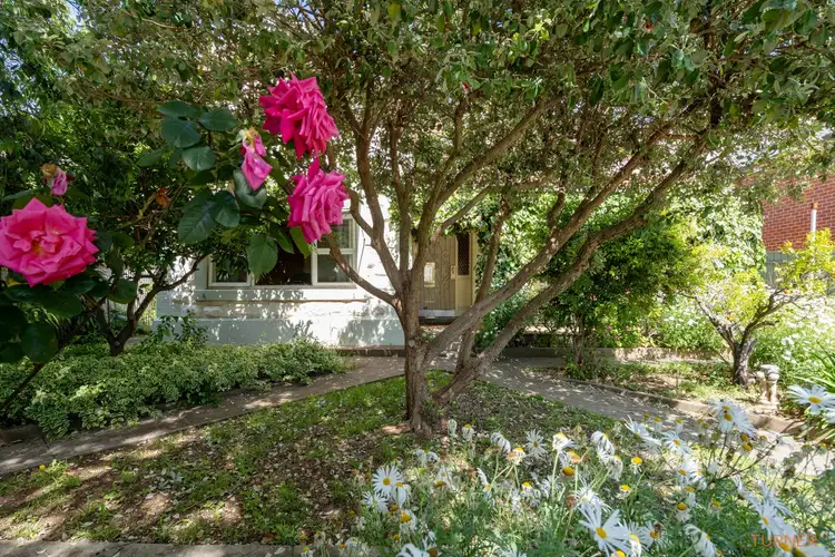 Second view of Homely house listing, 61 Sixth Avenue, St Peters SA 5069
