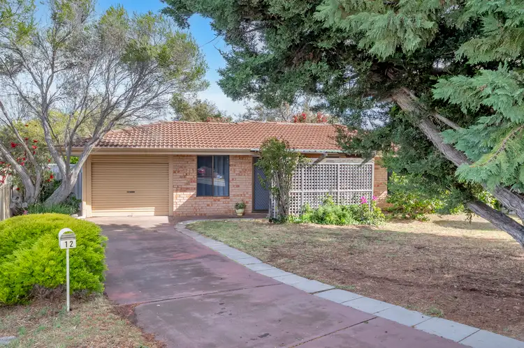 Second view of Homely house listing, 12 Linville Street, Falcon WA 6210