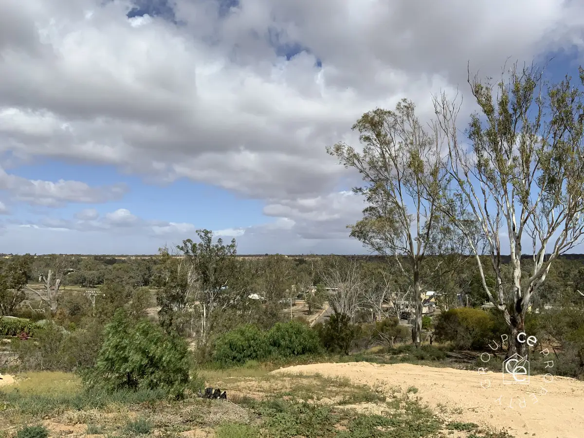 Main view of Homely land listing, Lot 49 Idyll Avenue, Morgan SA 5320