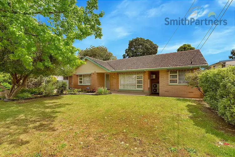 8 Marsha Drive, Banksia Park SA 5091