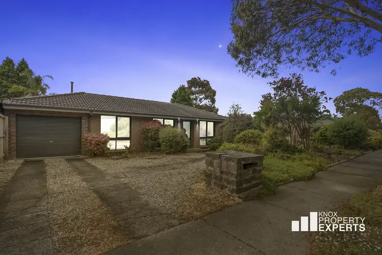Main view of Homely house listing, 20 Bambara Street, Wantirna VIC 3152