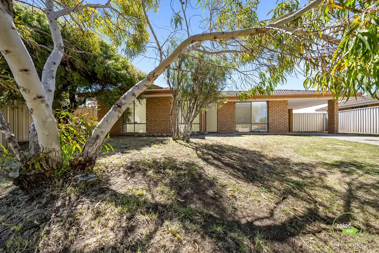 Second view of Homely house listing, 11 Gnangara Drive, Waikiki WA 6169