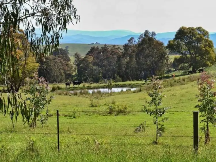 Fifth view of Homely house listing, 969 Glenroy Road, Merrijig VIC 3723