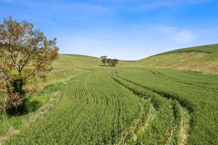 Third view of Homely rural property listing, 1010 Barrabool Road, Barrabool VIC 3221