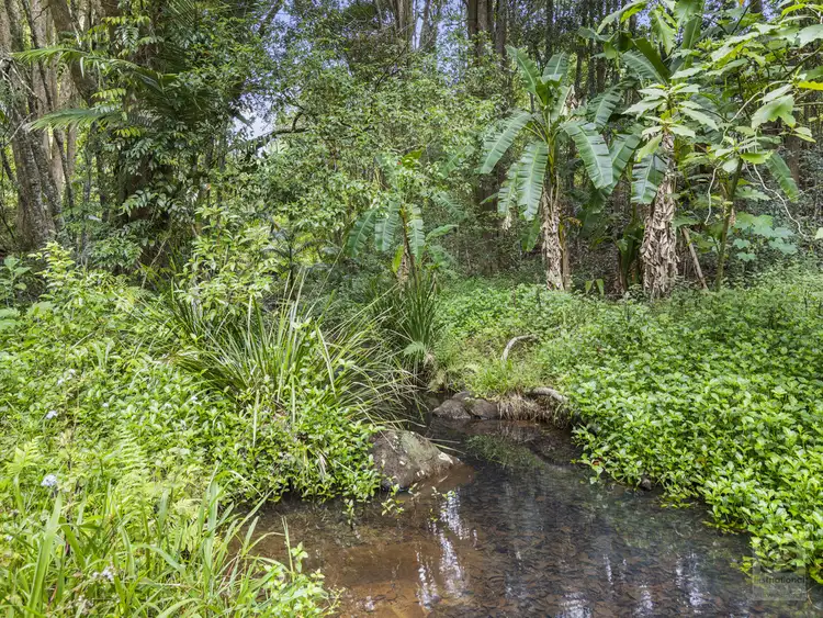 Third view of Homely rural property listing, 56 Glenock Road, Dum Dum NSW 2484