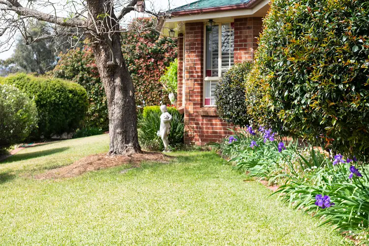 Sixth view of Homely house listing, 105 Queen Street, Muswellbrook NSW 2333