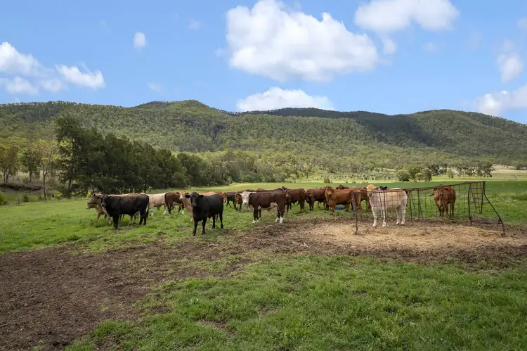 Fourth view of Homely land listing, LOT 12 Top Swanfels Road, Swanfels QLD 4371