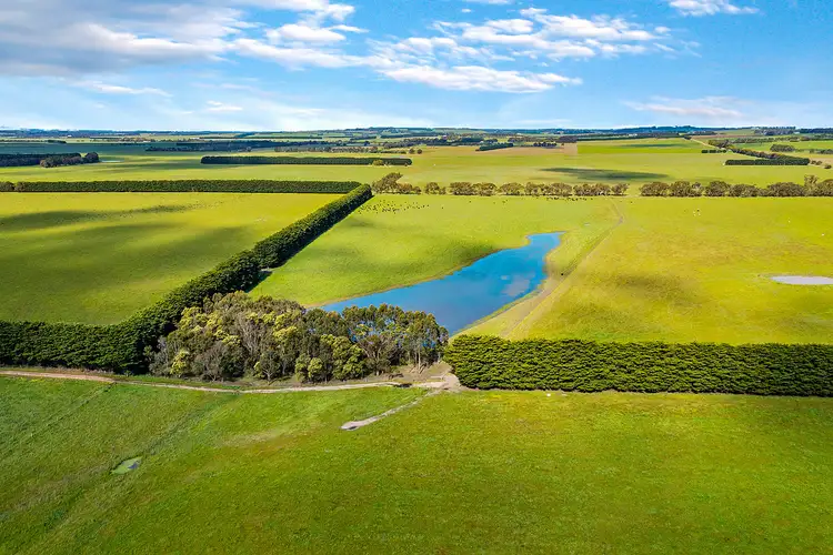 Fifth view of Homely rural property listing, 3099 Cape Otway Road, Winchelsea South VIC 3241