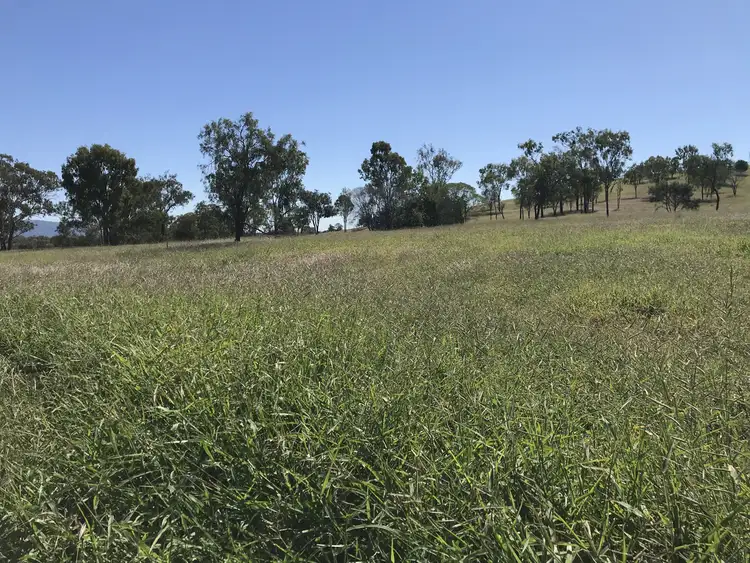 Third view of Homely rural property listing, 7 Sisalana Road, Bajool QLD 4699