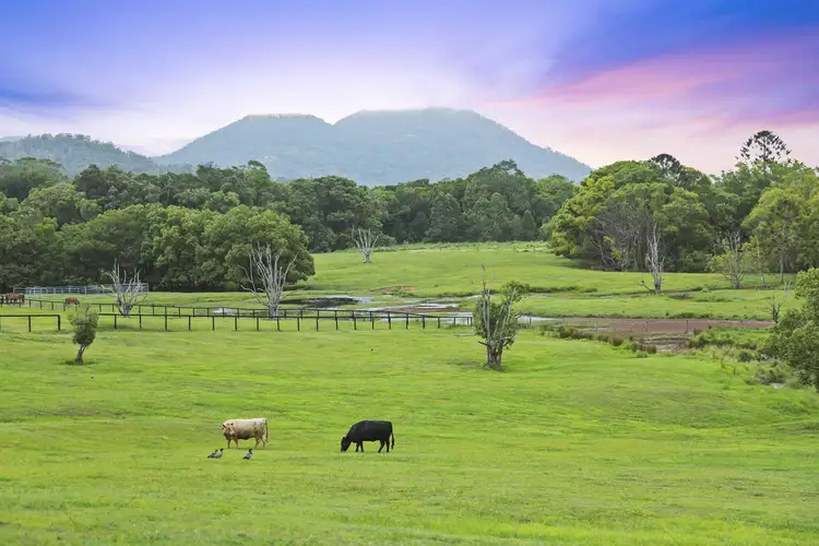 Third view of Homely house listing, 70 Eumundi Range Road, Eumundi QLD 4562