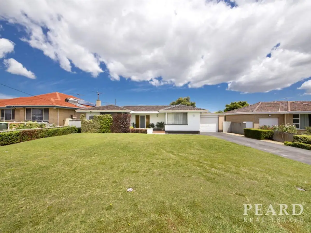 Main view of Homely house listing, 497 Main Street, Balcatta WA 6021