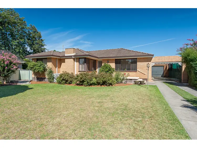 497 Nabowla Court, Lavington NSW 2641