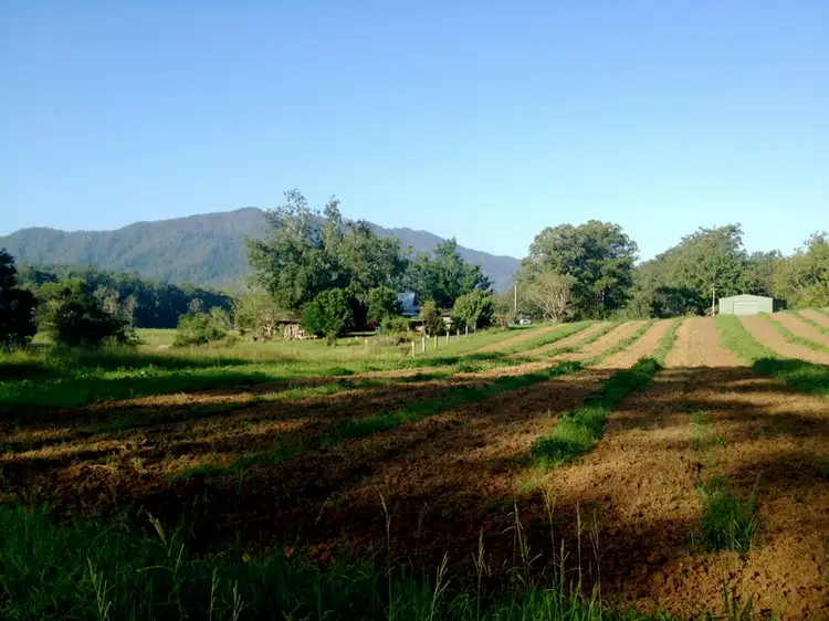 Third view of Homely rural property listing, 275 darkwood Road, Bellingen NSW 2454