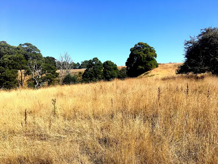 Fourth view of Homely land listing, 329 Upper Scotchtown Road, Scotchtown TAS 7330