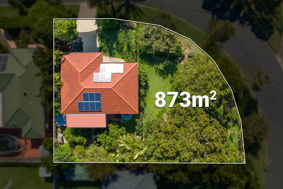 Main view of Homely house listing, 19 Morden Street, Birkdale QLD 4159