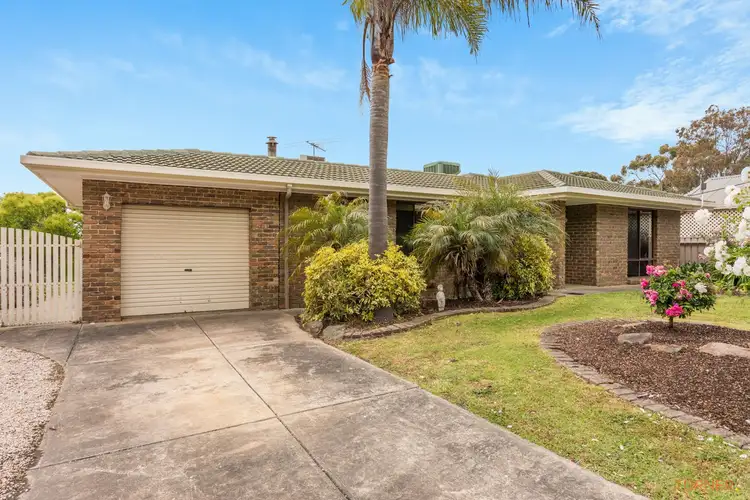 Main view of Homely house listing, 55 Pine Drive, Aberfoyle Park SA 5159