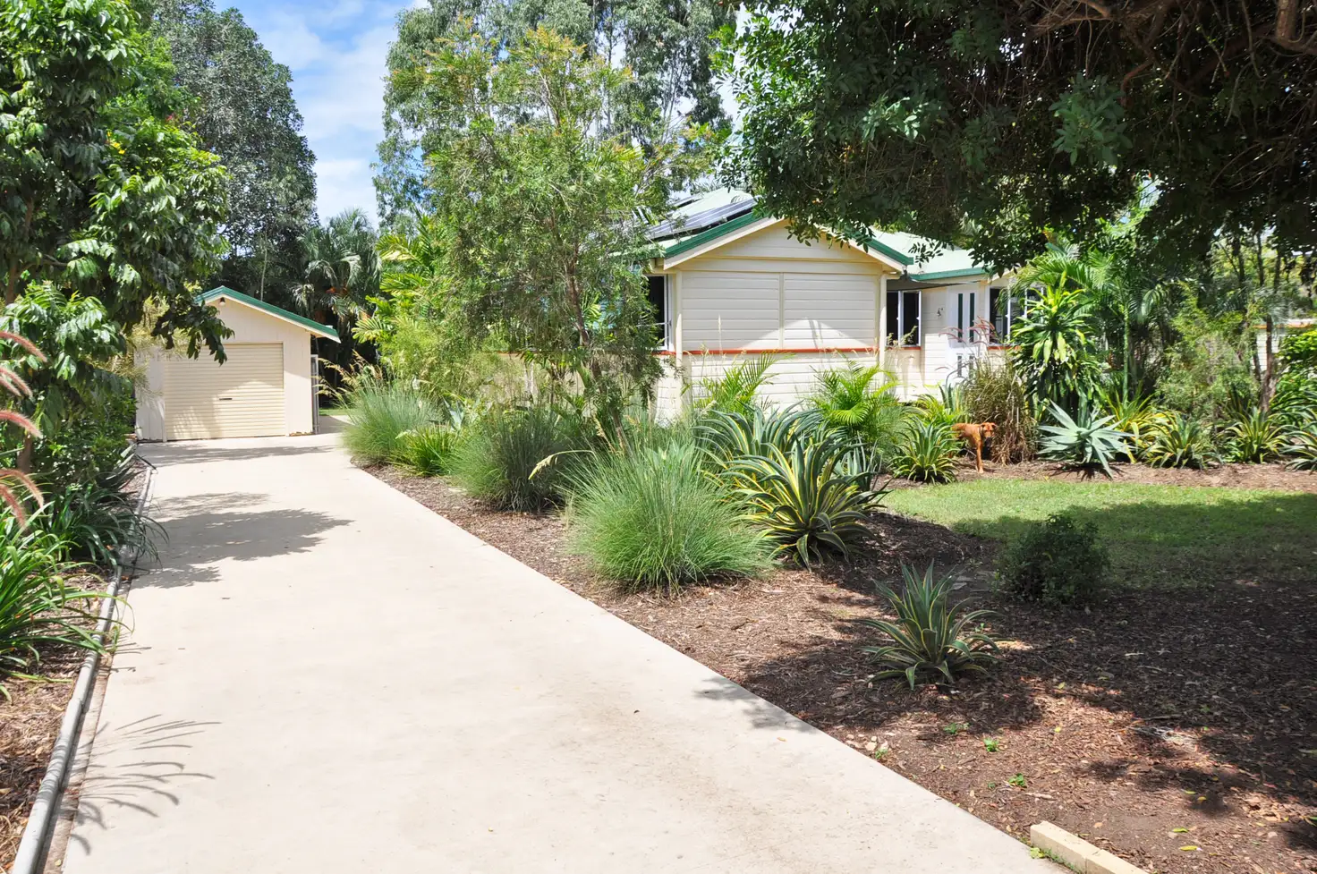 Main view of Homely house listing, 31 Byrnes Street, Mareeba QLD 4880