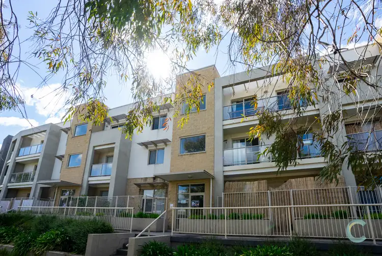 53/31 Thynne Street, Bruce ACT 2617