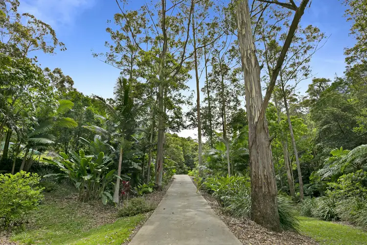 Fifth view of Homely house listing, 196 Petsch Creek Road, Tallebudgera Valley QLD 4228