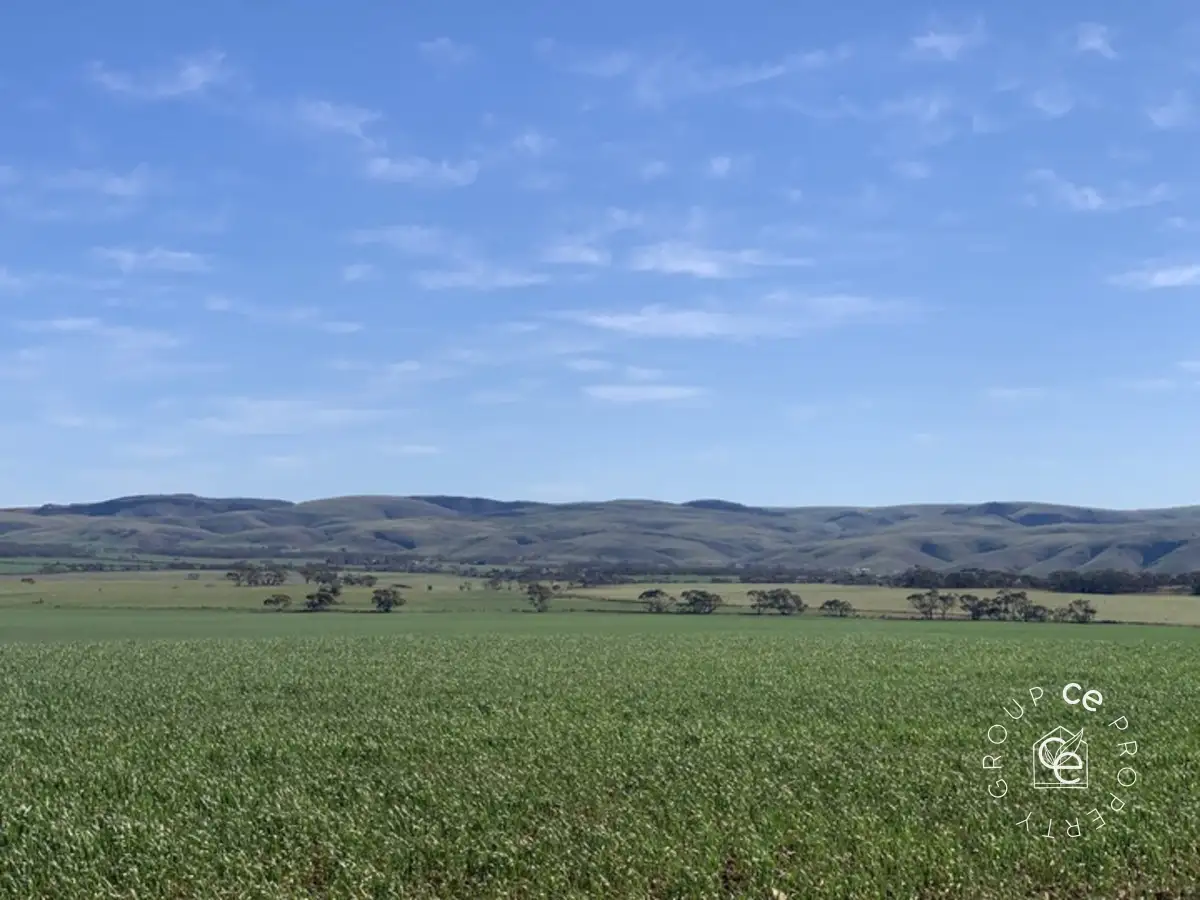 Main view of Homely rural property listing, LOT 282 Ridley Road, Cambrai SA 5353