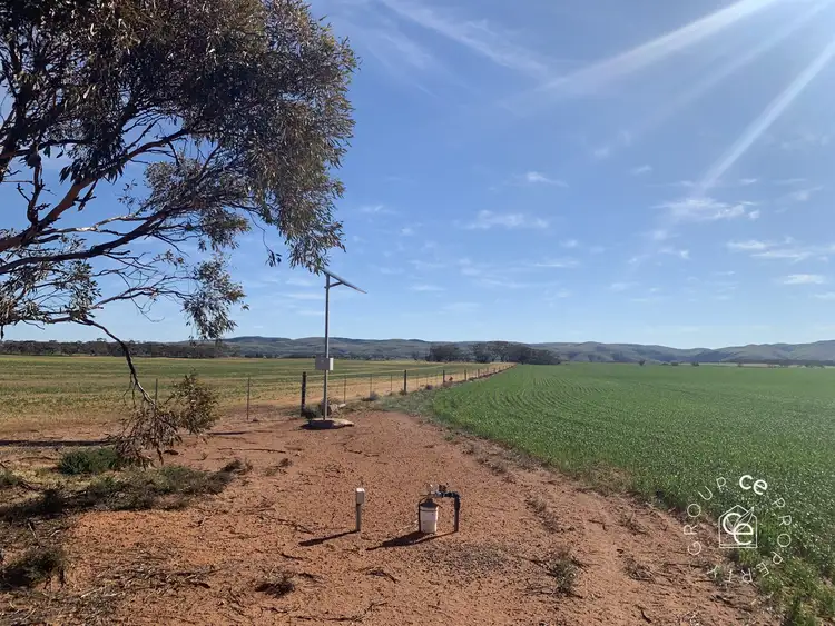 Second view of Homely rural property listing, LOT 282 Ridley Road, Cambrai SA 5353