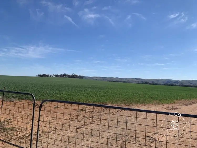 Sixth view of Homely rural property listing, LOT 282 Ridley Road, Cambrai SA 5353