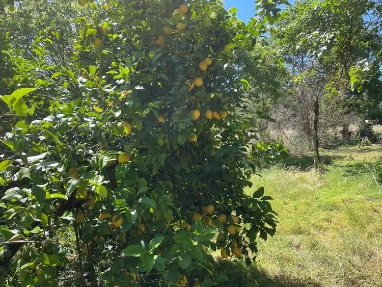 Sixth view of Homely land listing, 66 Kooringal Vale, Gidgegannup WA 6083