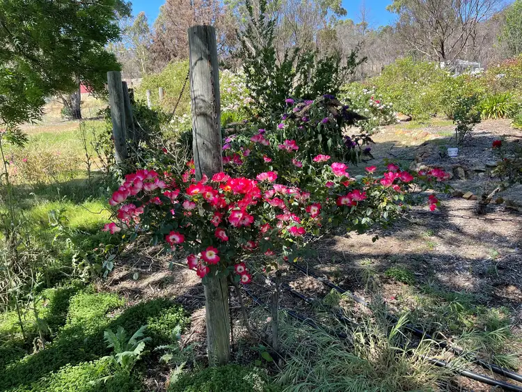 Seventh view of Homely land listing, 66 Kooringal Vale, Gidgegannup WA 6083