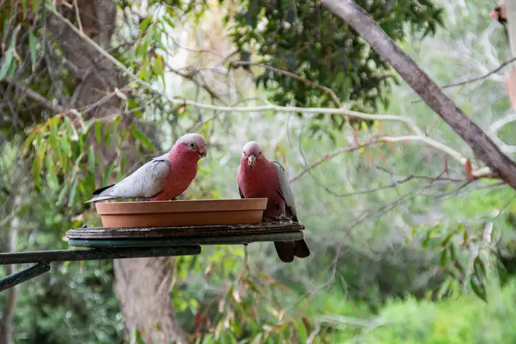 Sixth view of Homely house listing, 14 Fraser Street, Guilderton WA 6041