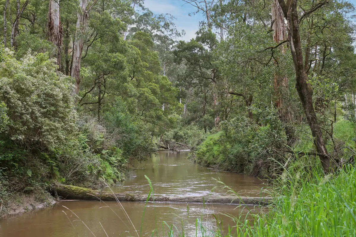 Main view of Homely rural property listing, 1699 Carlisle River Road, Carlisle River VIC 3239