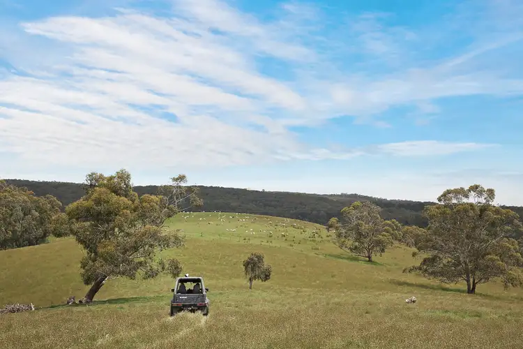 Third view of Homely rural property listing, 1699 Carlisle River Road, Carlisle River VIC 3239