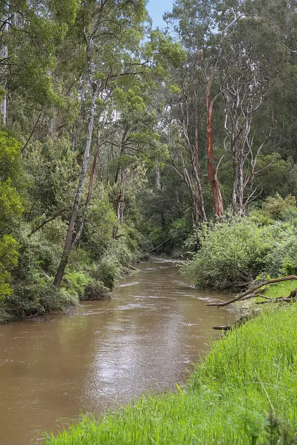 Fourth view of Homely rural property listing, 1699 Carlisle River Road, Carlisle River VIC 3239