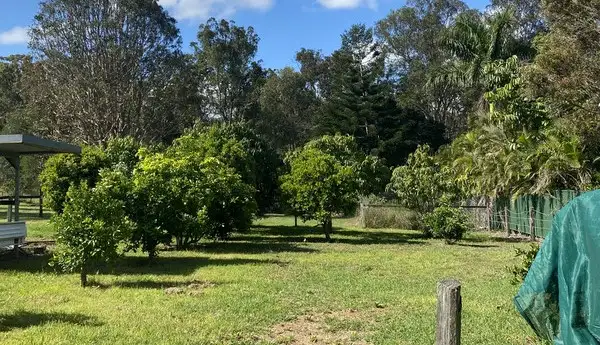 Sixth view of Homely house listing, 834 Beaudesert-Beenleigh Road, Wolffdene QLD 4207