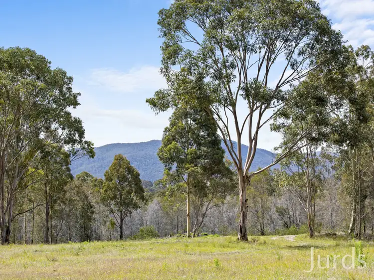 Fourth view of Homely rural property listing, 260 Hayes Road, Millfield NSW 2325