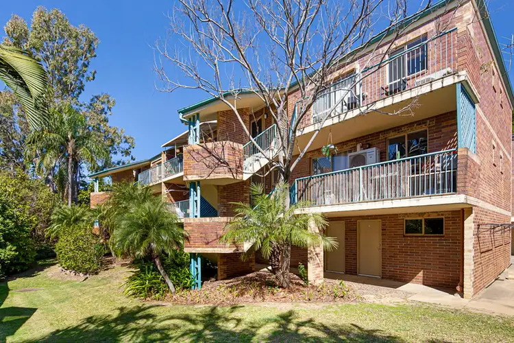 5/49 Wilton Terrace, Yeronga QLD 4104