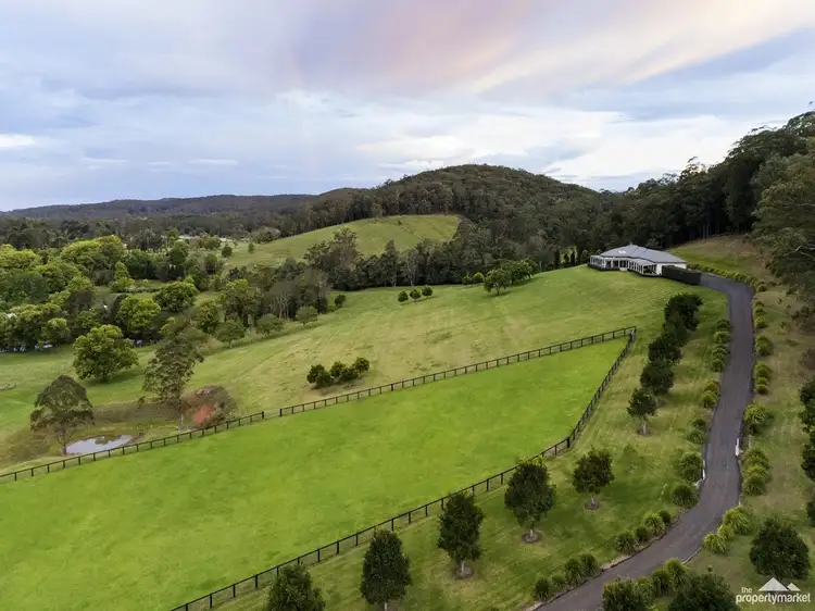 Main view of Homely house listing, 30 Fern Tree Lane, Palmdale NSW 2258