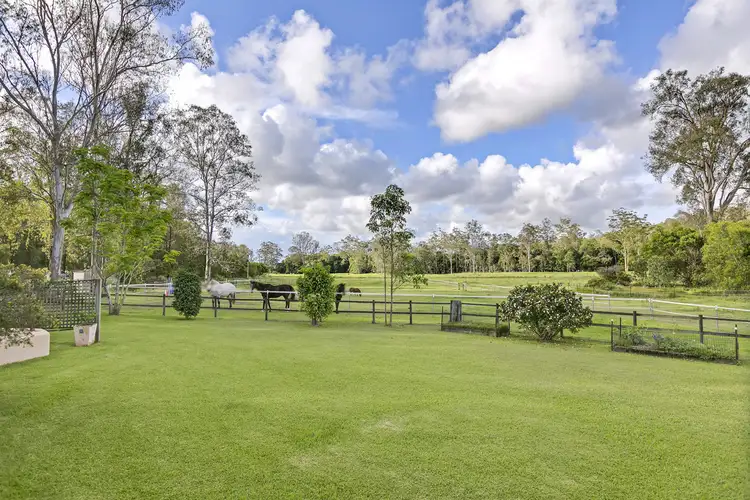 Second view of Homely house listing, 355 Cedar Creek Road, Belli Park QLD 4562