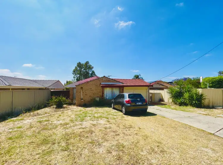 19 Foxglove Gardens, Mirrabooka WA 6061