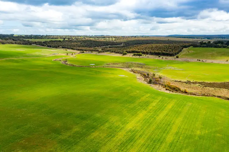Sixth view of Homely rural property listing, Buninyong-Mt Mercer Road, Grenville VIC 3352