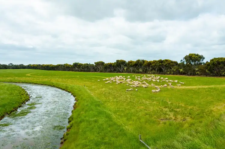 Fifth view of Homely rural property listing, 1700 Pitfield-Cressy Road, Werneth VIC 3352