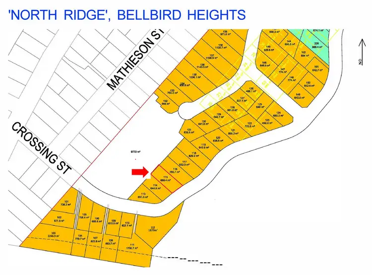 LOT 115 Crossing Street, Bellbird NSW 2325
