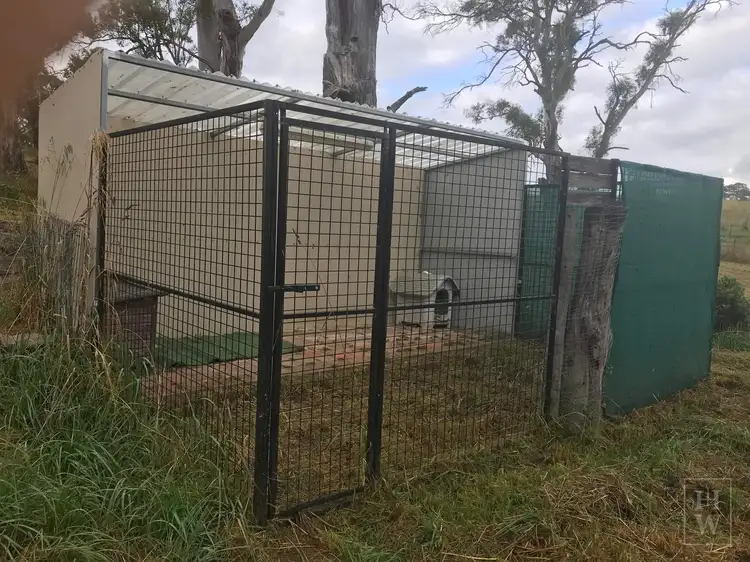 Seventh view of Homely rural property listing, 22 Sawyers Ridge Road, Reidsdale NSW 2622