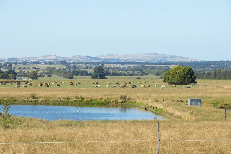 80 McNabbs Road, Irrewillipe East VIC 3249