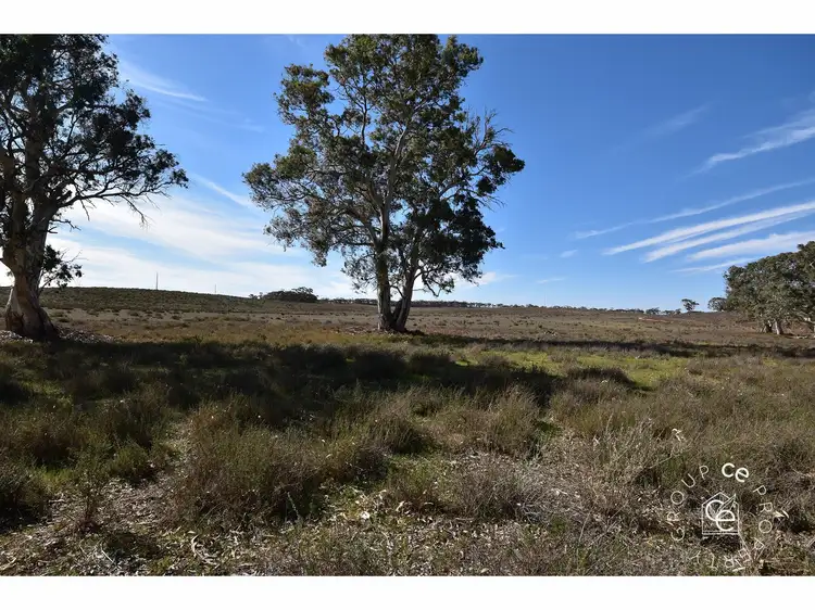 LOT 21 Black Hill Road, Cambrai SA 5353