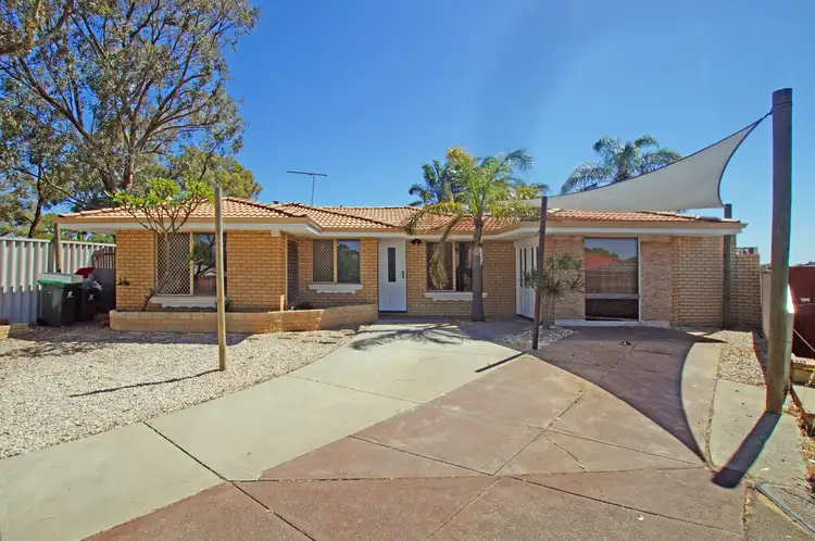 21 Chestnut Grove, Mirrabooka WA 6061